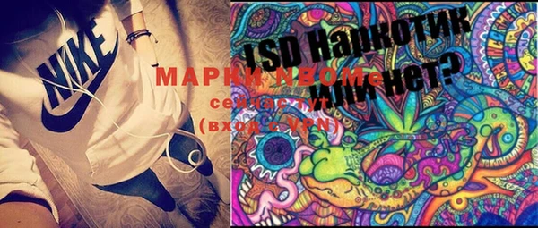 PSILOCYBIN Бородино