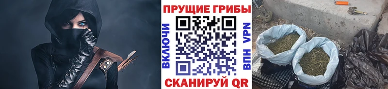 Галлюциногенные грибы мицелий  Купить  Краснообск 