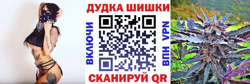 Бошки марихуана семена  Купить  Краснообск 